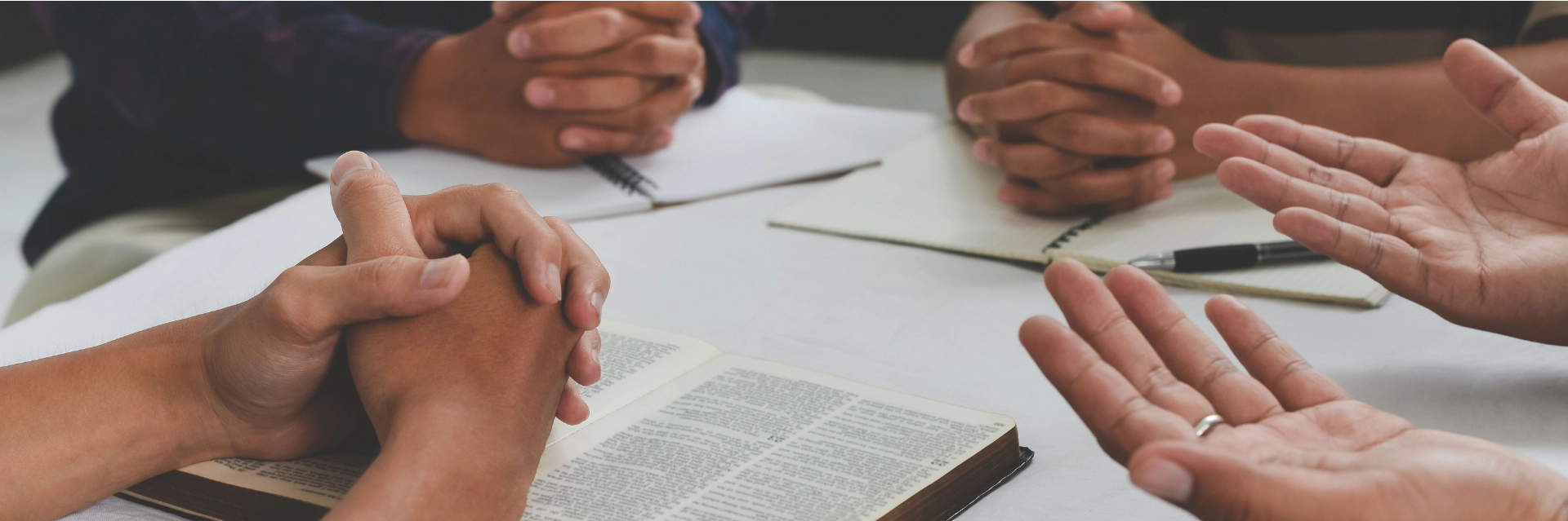 diseño sin título (19) copia